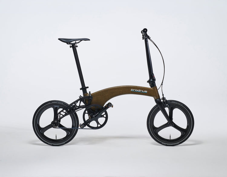 Single Speed Folding Bike